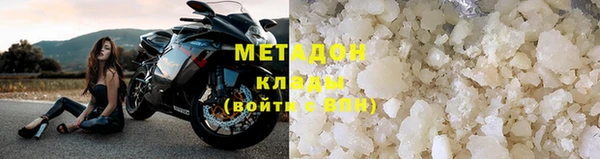 стаф Алзамай