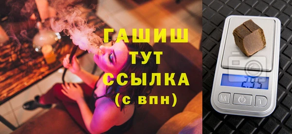 стаф Алзамай