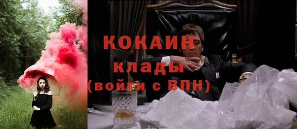 стаф Алзамай