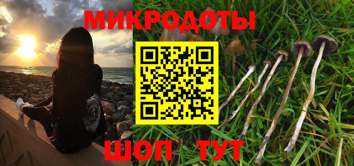 ЭКСТАЗИ Муравленко