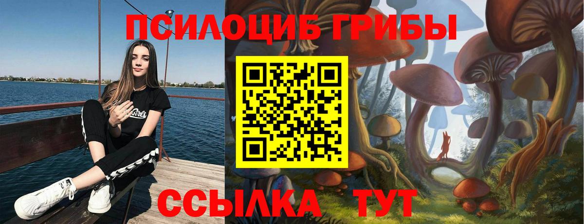 Муравленко  Галлюциногенные грибы MAGIC MUSHROOMS  Вход с VPN 